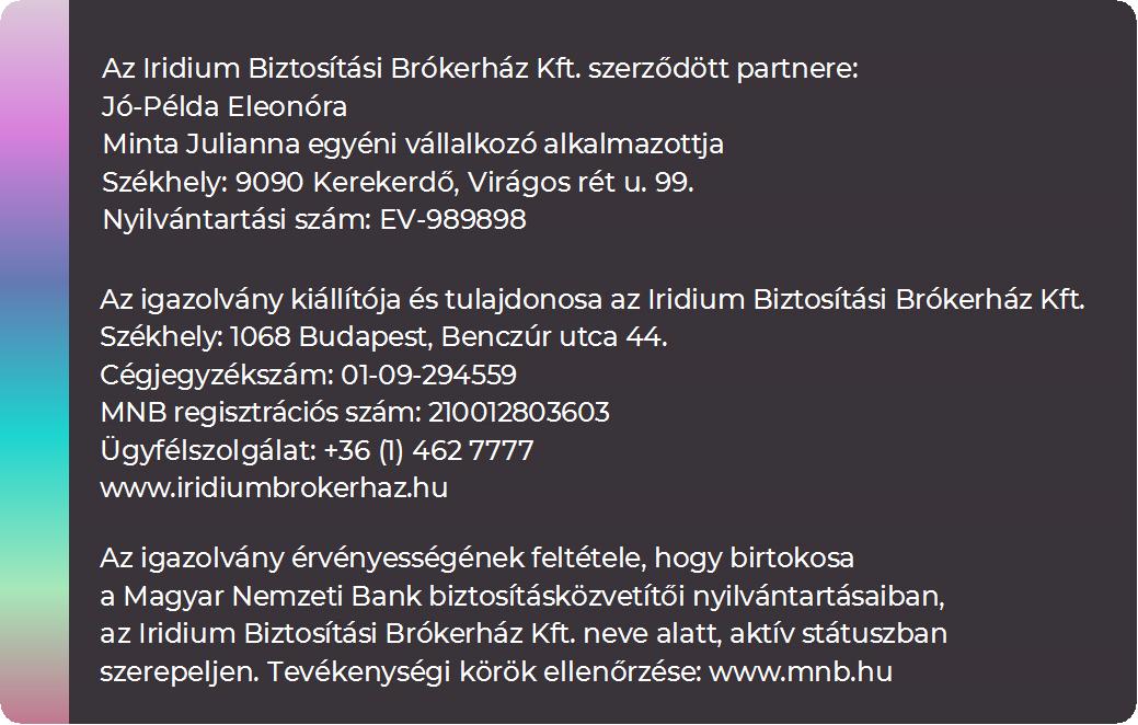 Iridium Biztositasi Brokerhaz Kft BADGE back